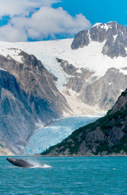Parque nacional de los fiordos de Kenai