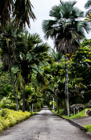 Jardín Botánico