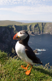 La aún más verde Isla de Skye