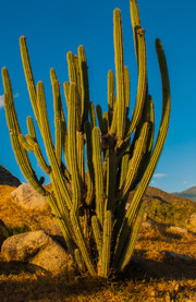 Conociendo la naturaleza de Cuba