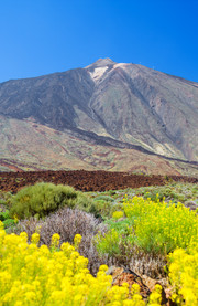 Parque Nacional del Teide