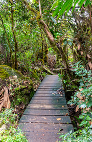 Parque Nacional Morne Seychelles