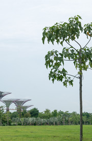 Jardines de la Bahía