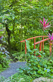 Jardines Botánicos Diamond