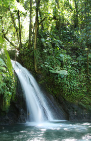 Parque nacional de Guadalupe
