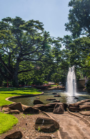 Jardín Botánico George Brown de Darwin