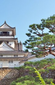 Castillo Kochi