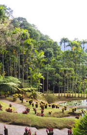 Jardín de Balata