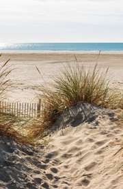 Playas