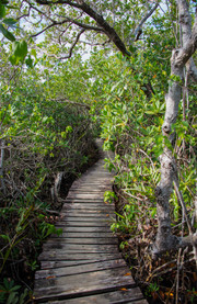 Parque nacional Lucayan