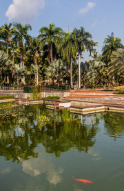 El Jardín Botánico Dr. Rafael María Moscoso