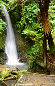 Parque Nacional de McLarens