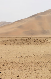 Dune 7