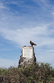 Isla Española