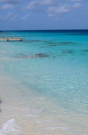 Bachelor's Beach