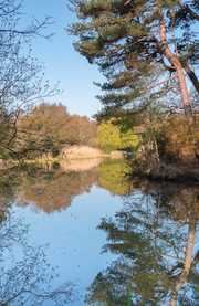 Southampton Common