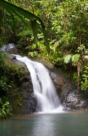Parque forestal Colo-i-Suva