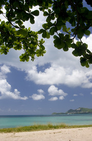 Playa Vigie