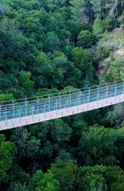 Puente colgante de Capilano