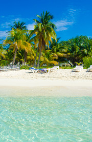 Conoce el secreto mejor guardado de Isla Mujeres