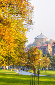 Slottsskogen