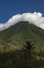 Reserva natural Tangkoko Batuangus