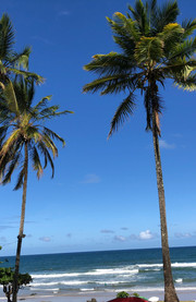 Playa de Millonarios