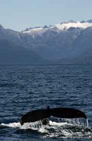 Isla de Magoun