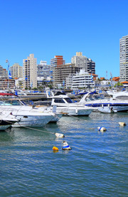 Paseo marítimo y puerto