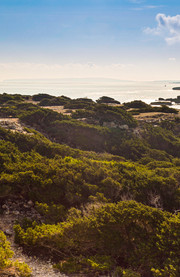Las Salinas