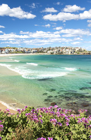 Bondi Beach