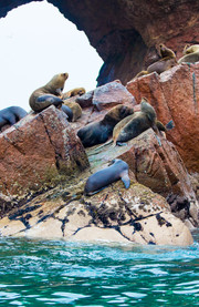 Islas Ballestas