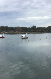 Ohori Park