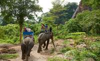 Chiang Mai. El día en que los elefantes se convirtieron en protagonistas - Tailandia Gran Viaje Tailandia al completo y Koh Samui