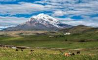 Quito - Reserva Faunística Chimborazo - Alausi. Caminando entre volcanes. - Ecuador Gran Viaje Ecuador y la selva amazónica