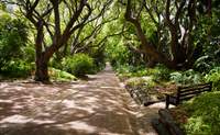 Ciudad del Cabo. Un día al estilo de los sudafricanos - Sudáfrica Circuito Ciudad del Cabo, Kruger y Cataratas Victoria