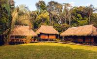 Reserva Natural Cuyabeno «Jamu Lodge». Conociendo a los habitantes de la selva. - Ecuador Gran Viaje Ecuador y la selva amazónica