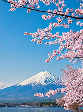 DESTINO DESTACADO DEL MES: JAPÓN