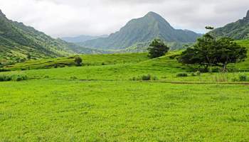 HONOLULU (AVENTURA JURÁSICA)