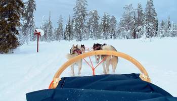 ALDEA DE SANTA CLAUS: SAFARI DE HUSKIES Y MUSEO ARKTIKUM