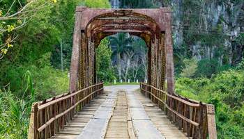 LA HABANA (VIÑALES)