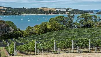 AUCKLAND (WAIHEKE ISLAND)