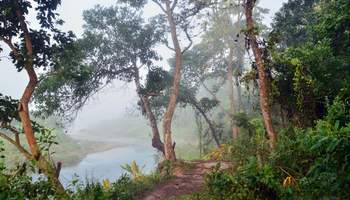 POKHARA / PARQUE NACIONAL CHITWAN