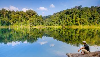 CAMERON HIGHLANDS / BELUM RAINFOREST