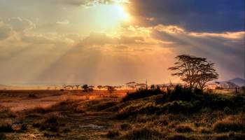 ÁREA KRUGER / PRETORIA / JOHANNESBURGO / CIUDAD DEL CABO