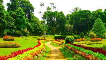KANDY / PERADENIYA / RAMBODA / NUWARA ELIYA