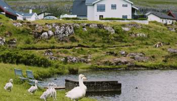 ZONA DE LAS ISLAS DEL NORTE/TÓRSHAVN (75 KM)