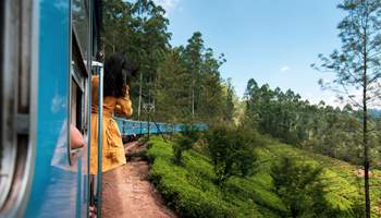 NUWARA ELIYA / TREN DEL TÉ / ELLA / TISSAMAHARAMA