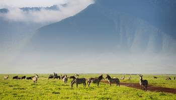 KARATU / NGORONGORO / KARATU
