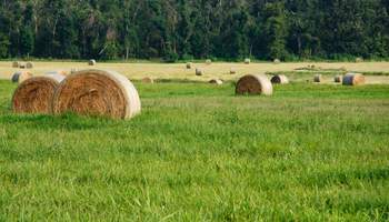 ST LOUIS / ROLLA / SPRINGFIELD, MO (347 KM)